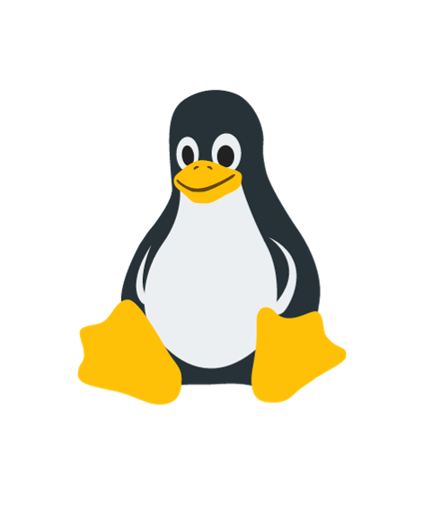 Dépannage Linux 1 heure