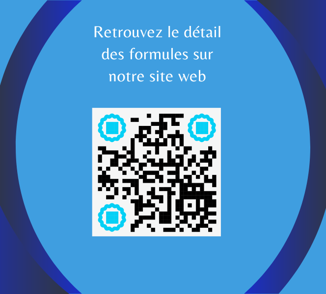 https://www.conseilensystemesetlogicielsinformatiques.fr